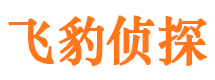 武安侦探公司